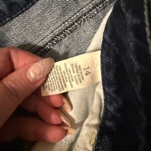 American Eagle Outfitters Blue Jean Shorts
